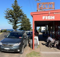 Fish - Tourism Hervey Bay