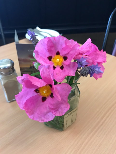 Kincraig Hotel - Hervey Bay Accommodation 3