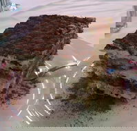 La Trattoria - Hervey Bay Accommodation