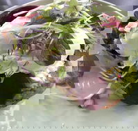 Public - Hervey Bay Accommodation