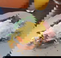 Stock Bar  Grill - Tourism Hervey Bay