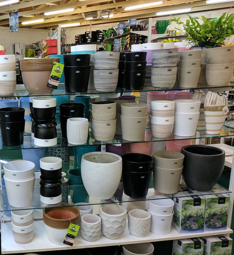 Chantelle's Coffee Garden - Tourism Hervey Bay 4