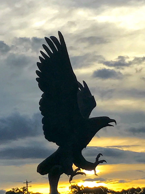 Jester Hill Wines - Tourism Hervey Bay 2