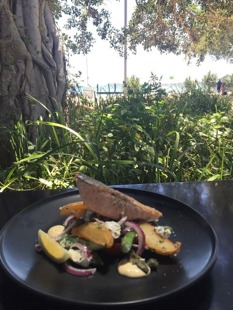 Scoopys Ice Creamery & Sidewalk Cafe - Hervey Bay Accommodation 2