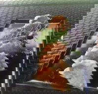 Three Black Sheep Cafe - Hervey Bay Accommodation