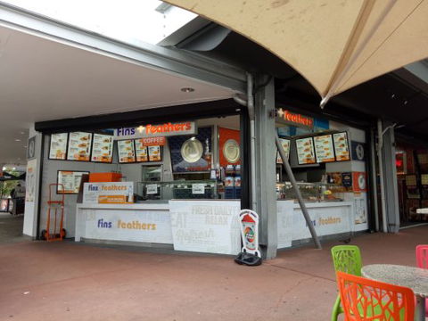Fins & Feathers - Hervey Bay Accommodation 0