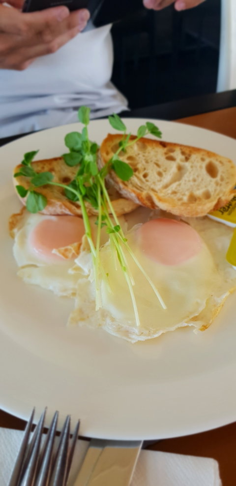 Migaloo's Cafe - Hervey Bay Accommodation 1