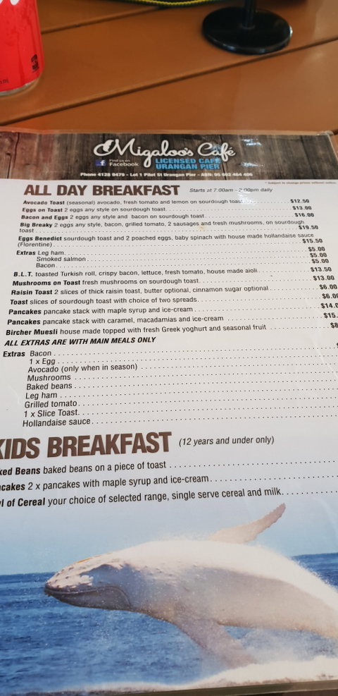 Migaloo's Cafe - Hervey Bay Accommodation 3