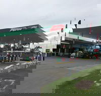 Puma Aratula - Tourism Hervey Bay