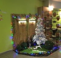 Onggi jonggi - Hervey Bay Accommodation