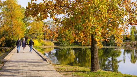 Crowne Plaza Canberra - Tourism Hervey Bay 17