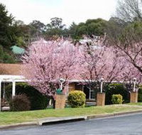 White Lanterns Motel - Hervey Bay Accommodation