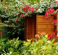 Pink Flamingo - Hervey Bay Accommodation