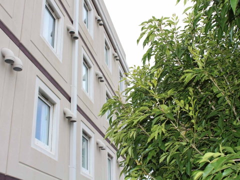 Ibis Newcastle - Hervey Bay Accommodation 1
