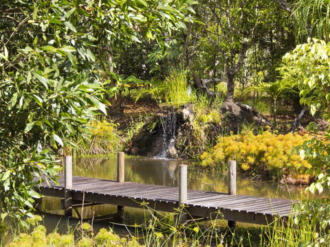 Cedar Park Rainforest Resort - Tourism Hervey Bay 0