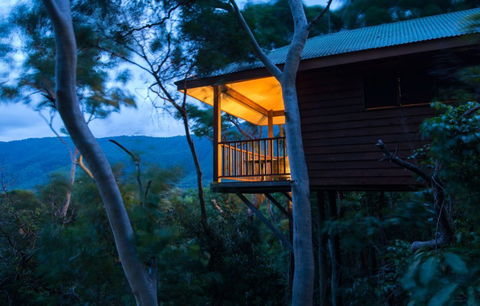 Thala Beach Nature Reserve - Hervey Bay Accommodation 0