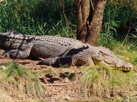 Novotel Darwin Atrium - Hervey Bay Accommodation 16