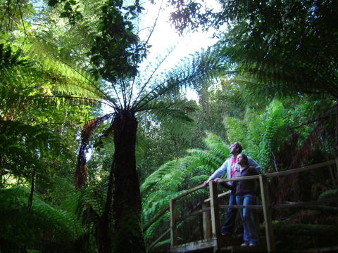 Huon Bush Retreats - Hervey Bay Accommodation 1