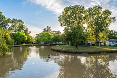 Discovery Parks Moama Maidens - Hervey Bay Accommodation 0