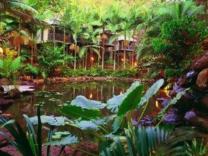 Daintree Eco Lodge & Spa - Hervey Bay Accommodation 0