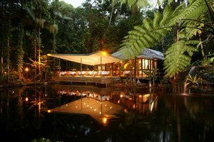 Daintree Eco Lodge & Spa - Hervey Bay Accommodation 2