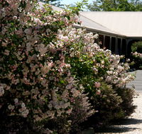 Wine Village Motor Inn - Tourism Hervey Bay