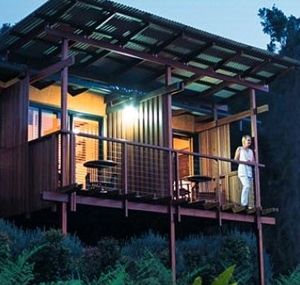 O'Reilly's Rainforest Guesthouse - Hervey Bay Accommodation 1