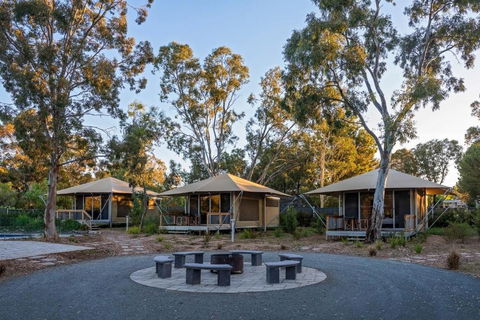 Discovery Parks Barossa Valley - Hervey Bay Accommodation 0