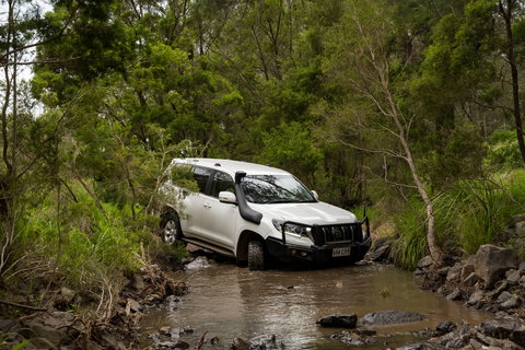 Spicers Hidden Vale - Tourism Hervey Bay 14