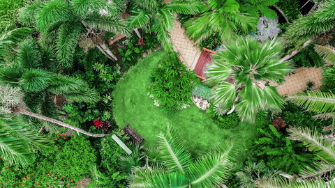 Holiday Inn Cairns Harbourside - Hervey Bay Accommodation 16