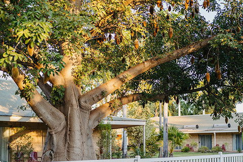 Kimberley Grande Resort & Conf Ctr - Tourism Hervey Bay 0