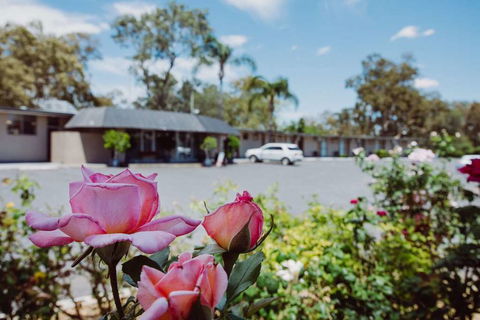 Artesian Spa Motor Inn - Tourism Hervey Bay 2