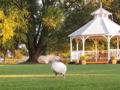 Parklands Resort & Conference Ctr - Tourism Hervey Bay 1