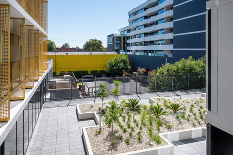 Oros Plus Hotel - Hervey Bay Accommodation 2