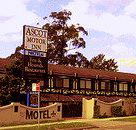 Golden Chain Ascot Motor Inn - Tourism Hervey Bay