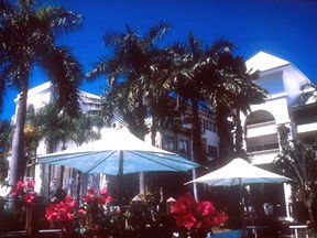 Alamanda Palm Cove - Tourism Hervey Bay 1