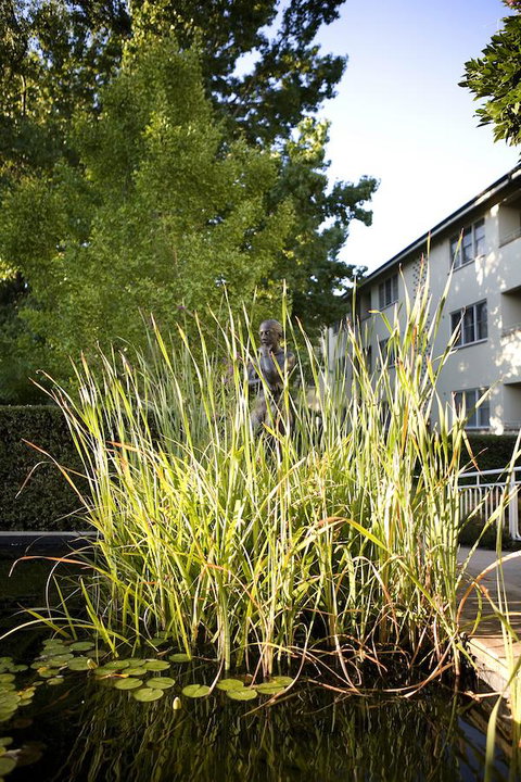 University House - ANU - Hervey Bay Accommodation 11