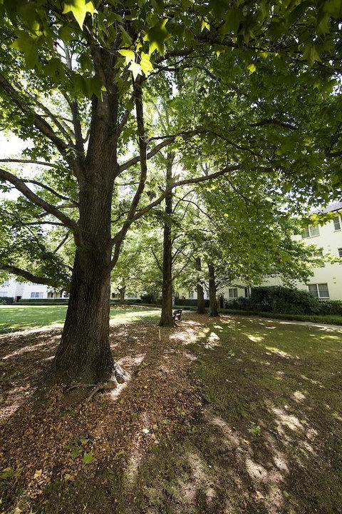 University House - ANU - Hervey Bay Accommodation 28