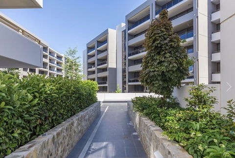 Modern Executive Apt@Barton*1BR*WiFi*Gym*Secure Parking*Canberra - Hervey Bay Accommodation 19