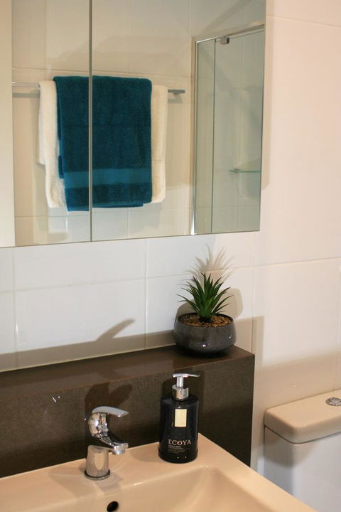 Modern Executive Apt@Barton*1BR*WiFi*Gym*Secure Parking*Canberra - Hervey Bay Accommodation 13