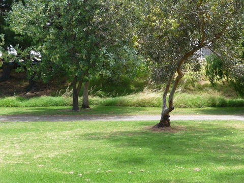 Victor Harbor Holiday Park - Hervey Bay Accommodation 24