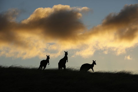 Sky House Kangaroo Island - Hervey Bay Accommodation 37
