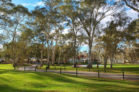 Discovery Parks - Clare - Hervey Bay Accommodation 19