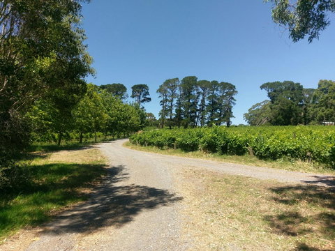 Lost In The Vines - Hervey Bay Accommodation 28