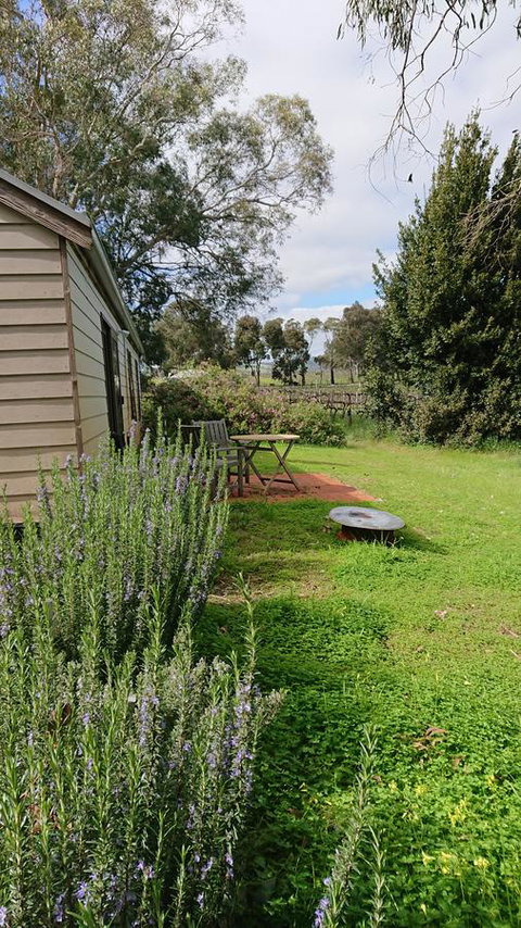 Lost In The Vines - Hervey Bay Accommodation 22