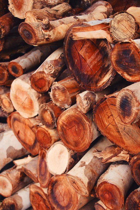 Lost In The Vines - Hervey Bay Accommodation 20