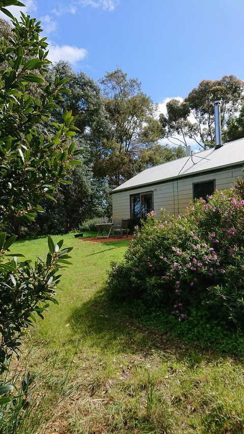 Lost In The Vines - Hervey Bay Accommodation 26
