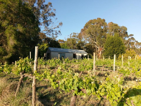 Lost In The Vines - Hervey Bay Accommodation 25