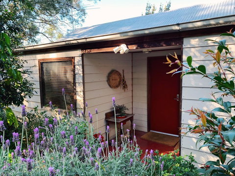 Lost In The Vines - Hervey Bay Accommodation 13