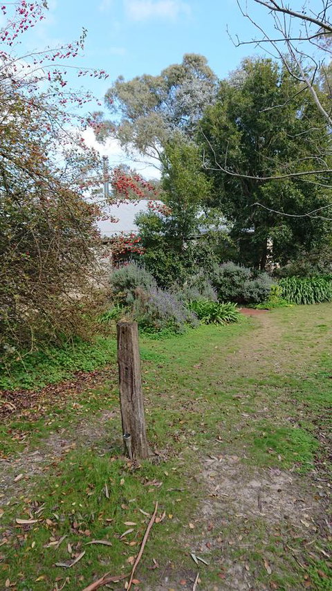 Lost In The Vines - Hervey Bay Accommodation 21